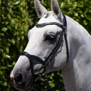 San Paolo Anatomical Snaffle Bridle Black