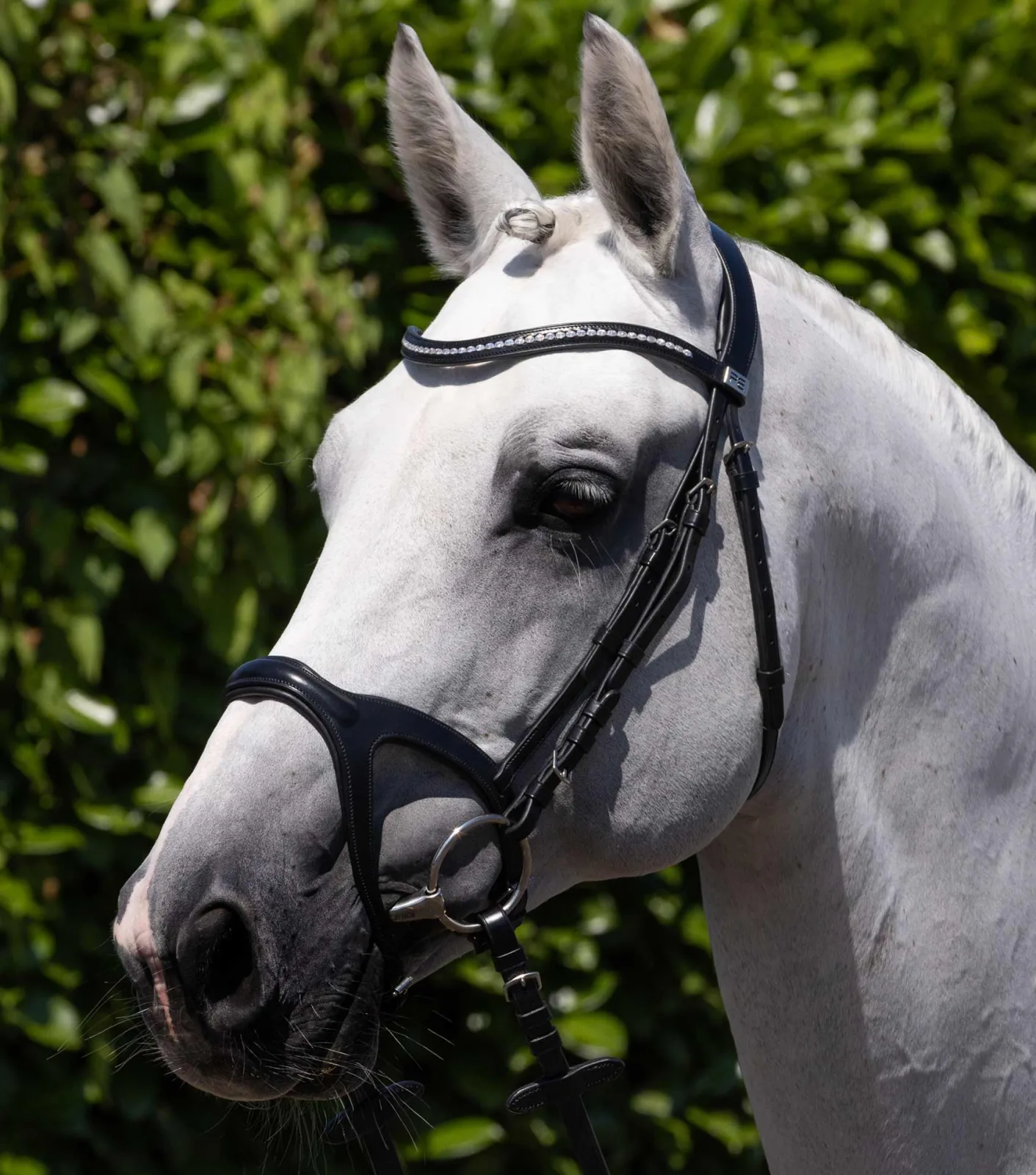 San Paolo Anatomical Snaffle Bridle Black