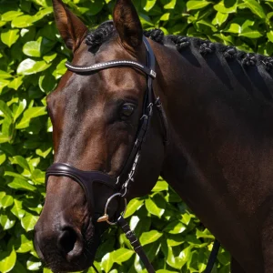San Paolo Anatomical Snaffle Bridle Brown