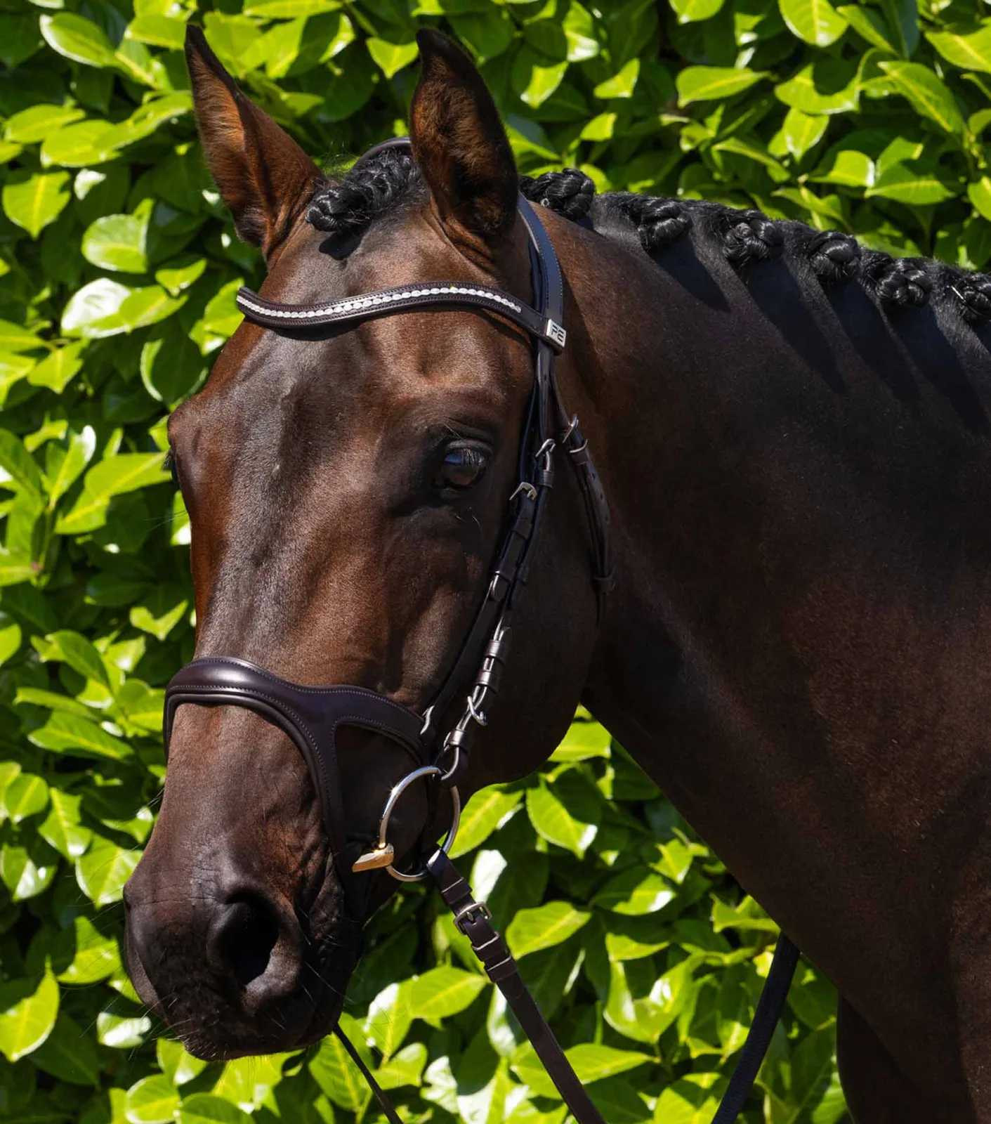 San Paolo Anatomical Snaffle Bridle Brown