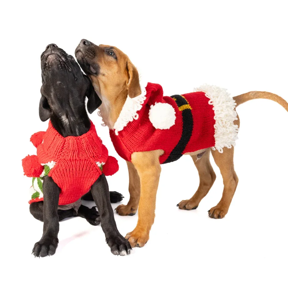 Santa Dog Sweater - Image 2