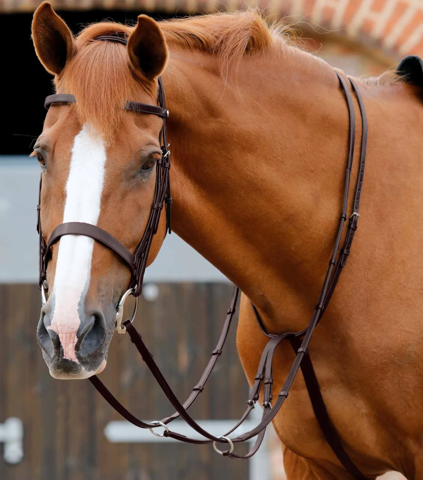 Santadi Adjustable Running Martingale Brown - Image 2