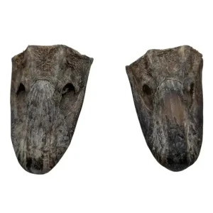 Savannah Pet Food Crunchy Ostrich Beak Dog Treat 2 Pack