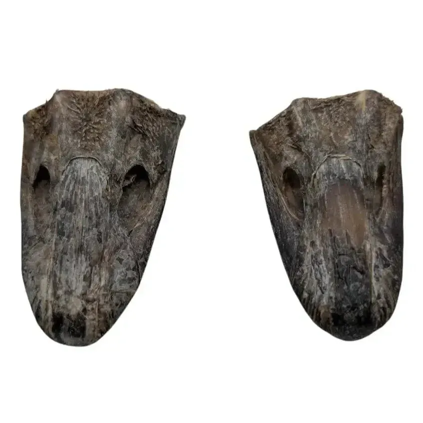Savannah Pet Food Crunchy Ostrich Beak Dog Treat 2 Pack