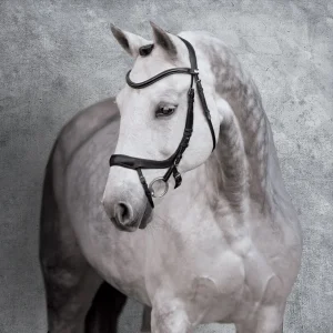 Schockemöhle Equitus Alpha Bridle