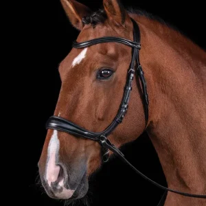 Schockemöhle Equitus Theta Bridle