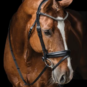 Schockemöhle Malaga Bridle