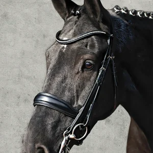 Schockemöhle Milan Anatomical Double Bridle