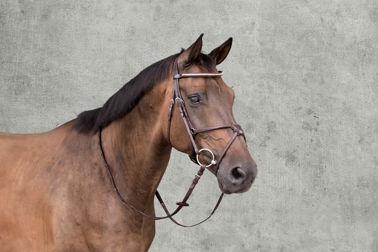 Schockemöhle Rio Select Anatomic Figure-8 Bridle - Image 2