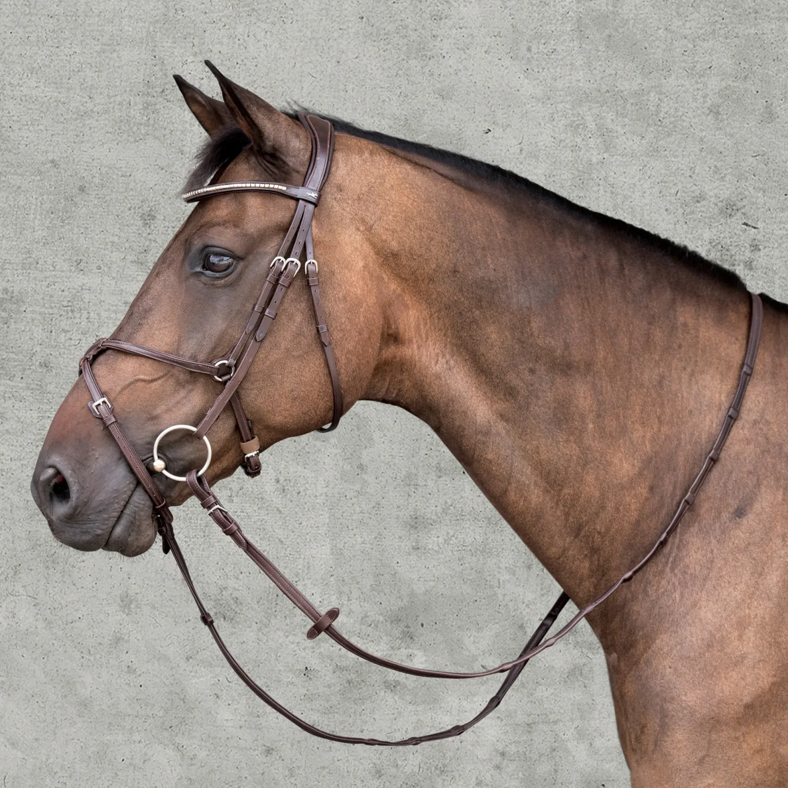 Schockemöhle Rio Select Anatomic Figure-8 Bridle