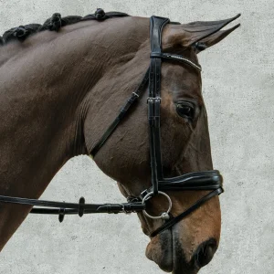Schockemöhle Stanford Bridle