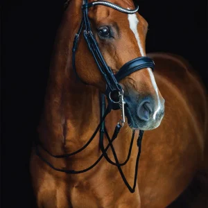 Schockemöhle Venice Double Bridle