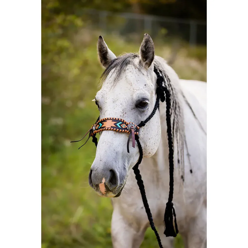 Schulz Equine Aztec Braided Rope Horse Halter