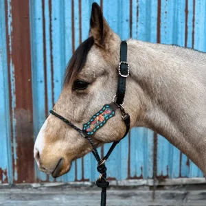Schulz Equine Daisy If You Do Lariat Nose Halter