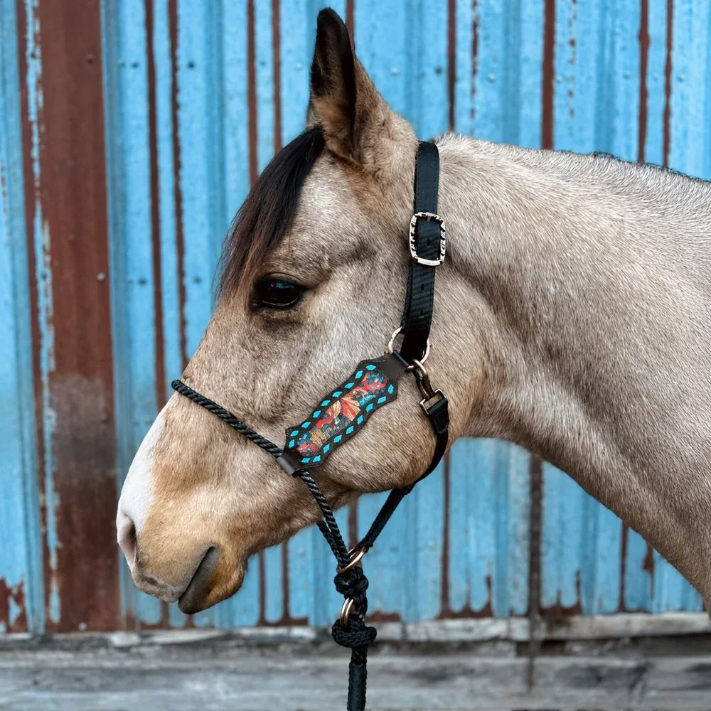 Schulz Equine Daisy If You Do Lariat Nose Halter
