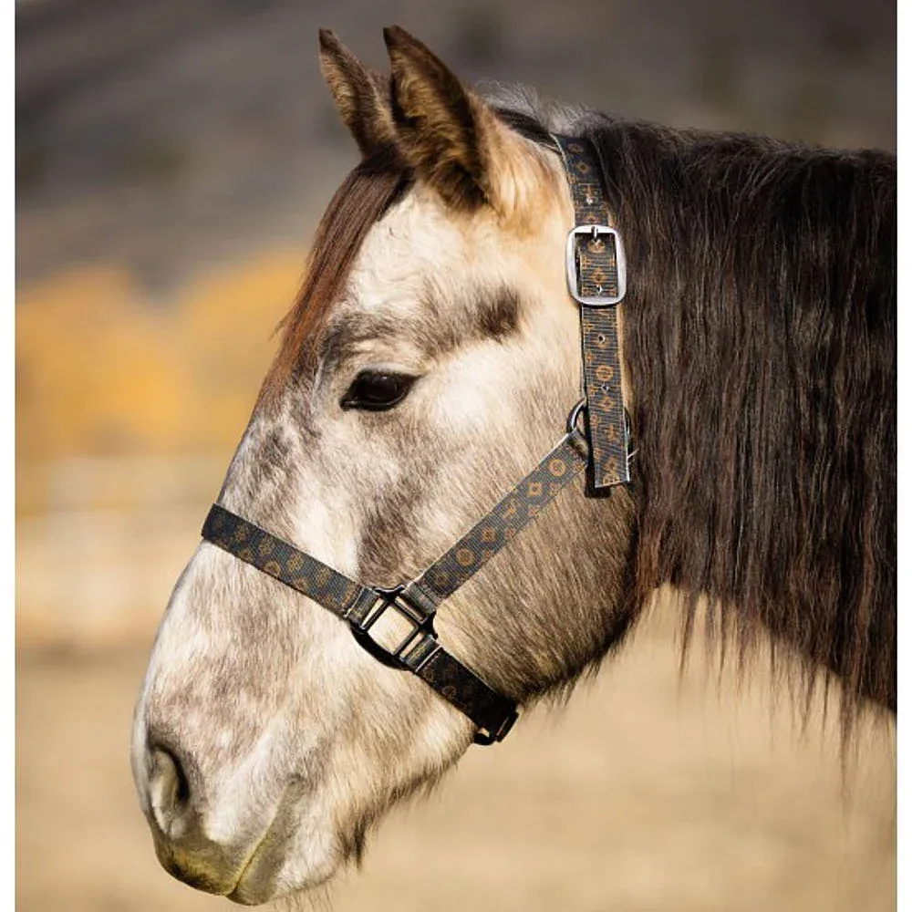 Schulz Equine Designer Nylon Halter