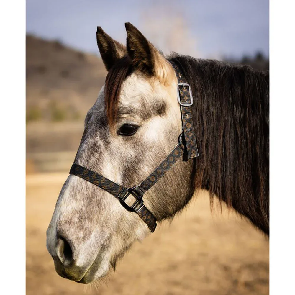 Schulz Equine Designer Nylon Halter - Image 2
