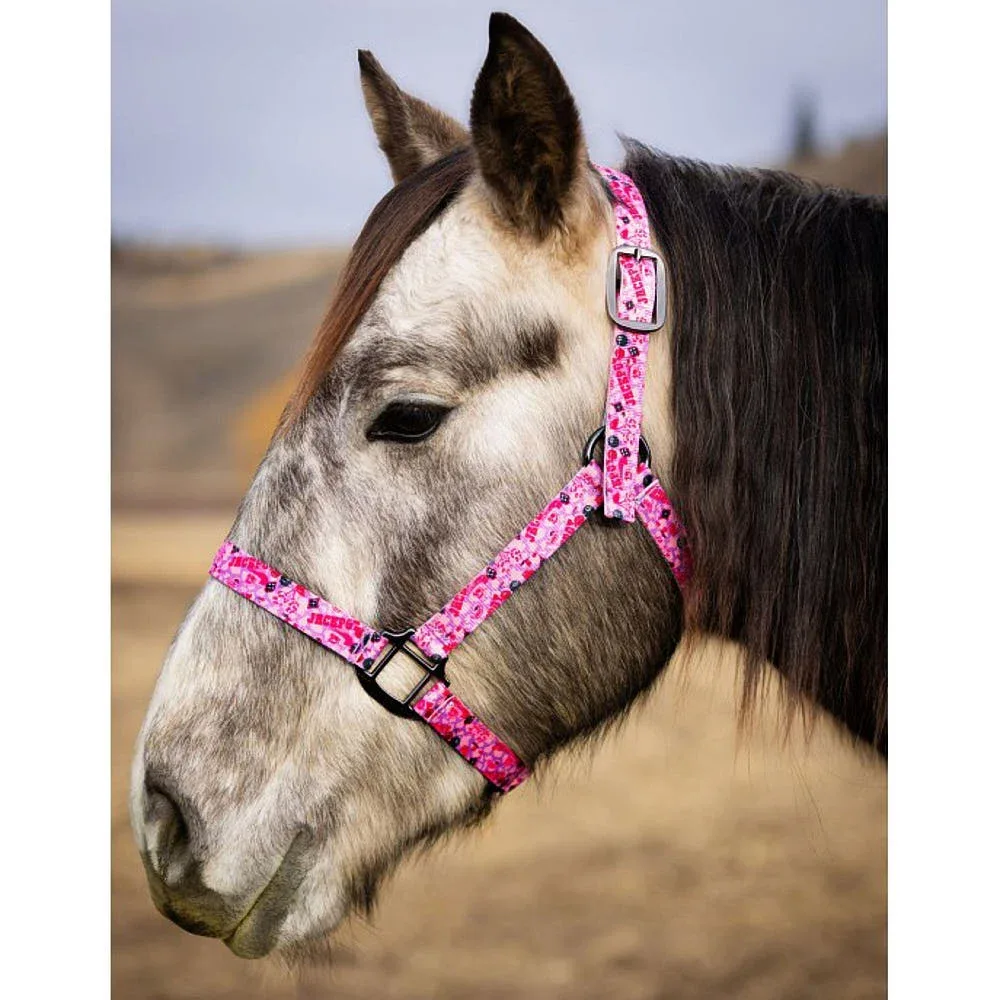 Schulz Equine Jackpot Nylon Halter