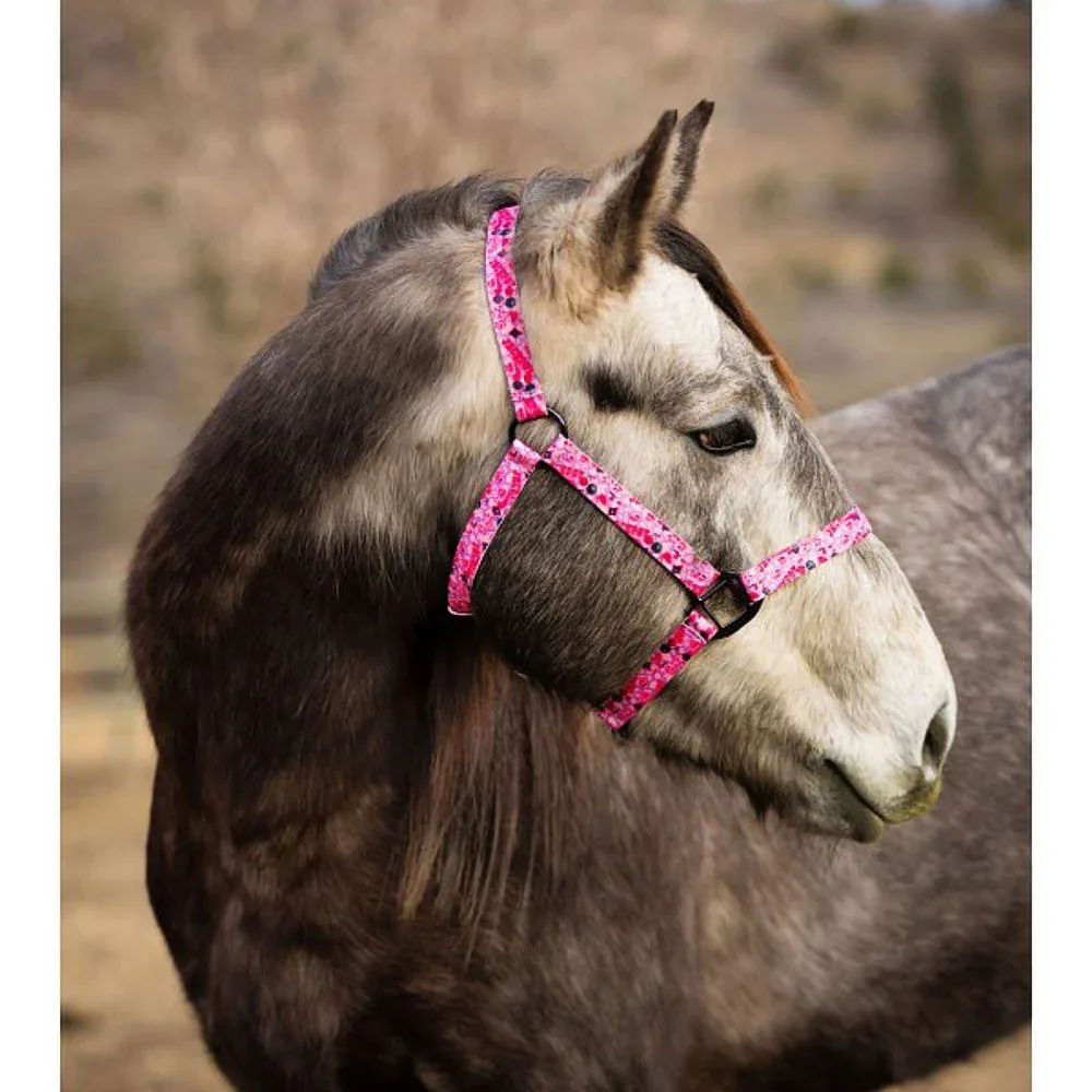 Schulz Equine Jackpot Nylon Halter - Image 2