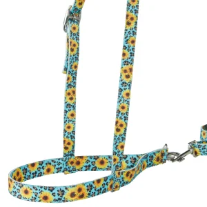 Schulz Equine Nylon Noseband Tiedown Set