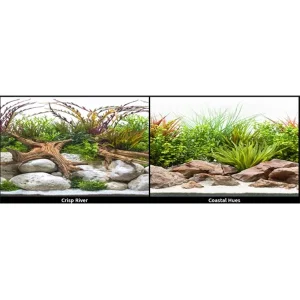 Seaview Coastal Hues/ Crisp River 24" Double Sided Background - Sold per Foot