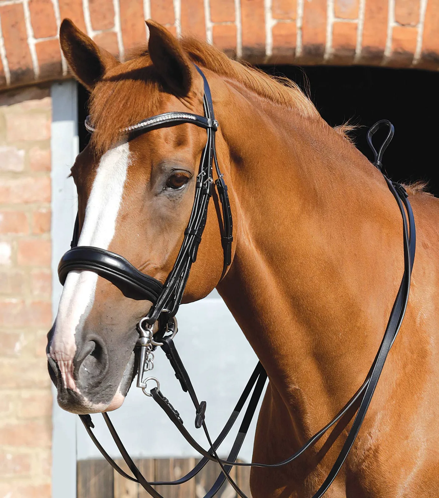 Senado Plain Leather Reins Black - Image 2