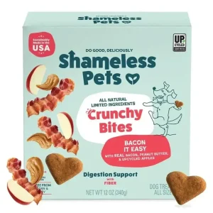 Shameless Pets Bacon It Easy Bacon Flavor Crunchy Dog Treats