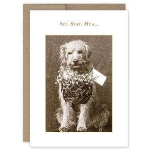 Shannon Martin Design Sit. Stay. Heal. Get Well Card