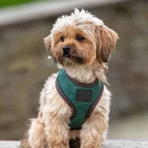Shires Digby Fox Quilted Harness