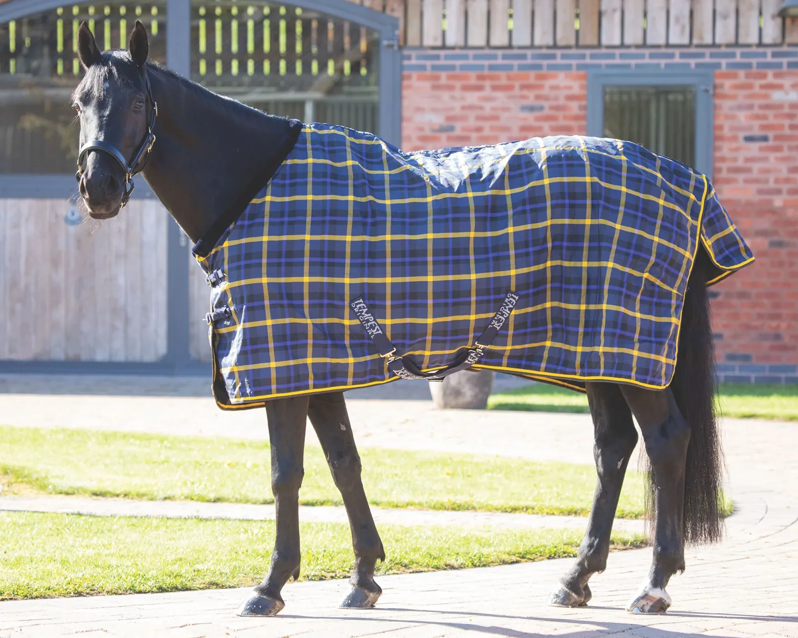 Shires Tempest Plus Lite Stable Sheet