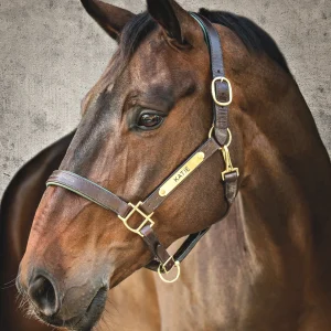 Showmark™ Classic Fancy-Stitched Leather Halter