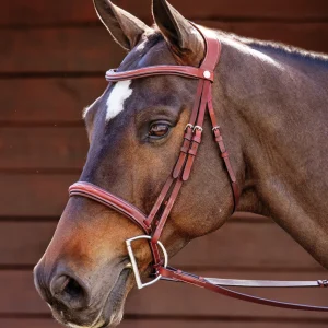 Showmark® Ergonomic Hunter Bridle