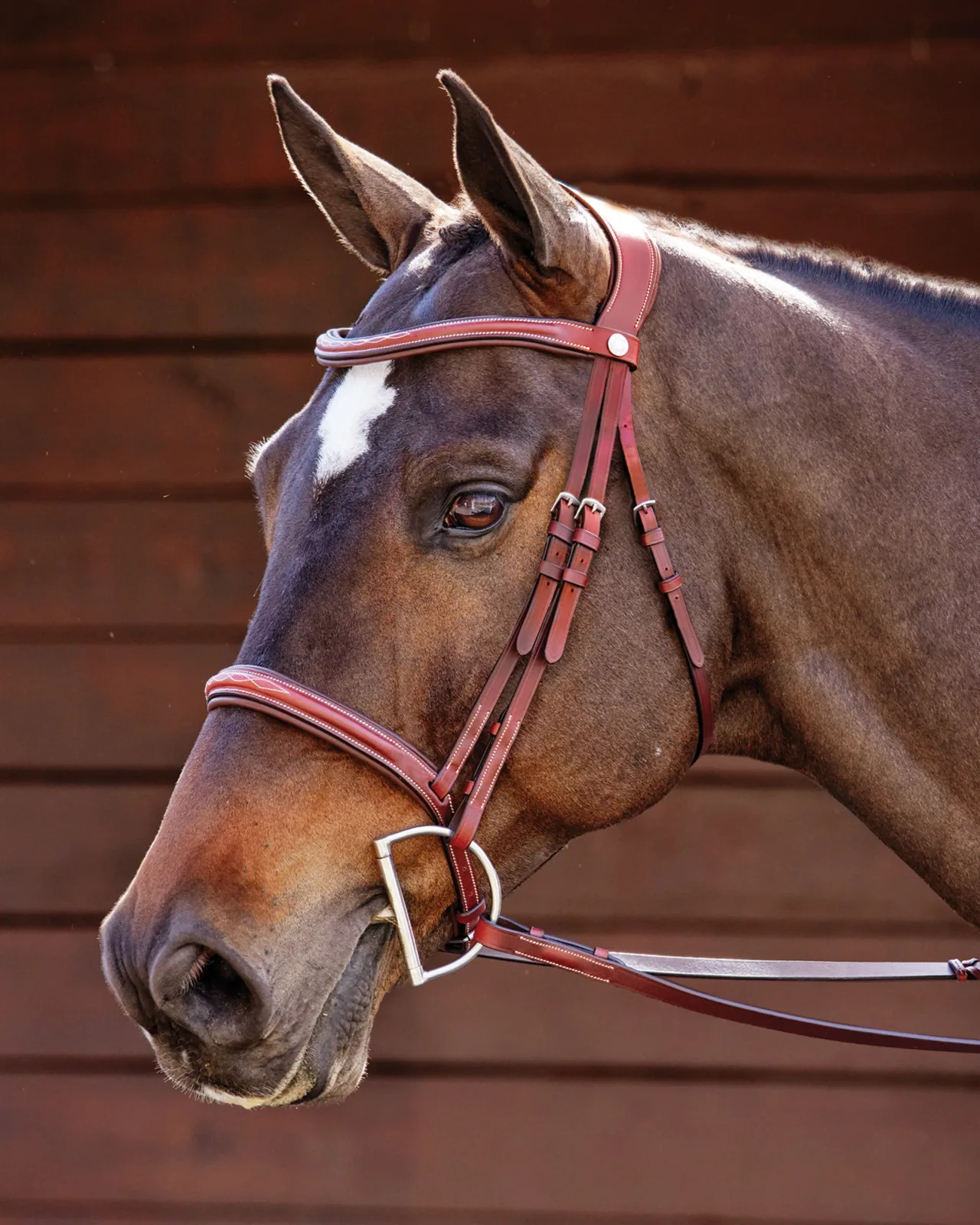 Showmark® Ergonomic Hunter Bridle