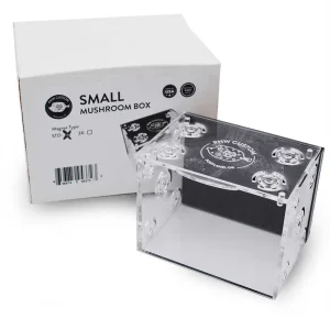 Shroom Box - 1/2" Glass Small Mushroom/Coral Box (4" x 3" x 2.5") - PNW Custom