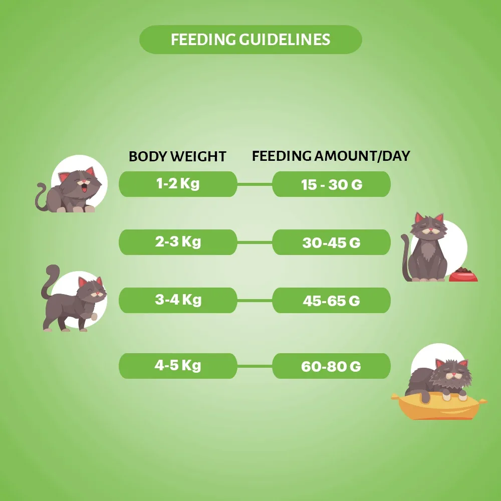 Signature Grain Zero Chicken & Vegetable Adult Cat Dry Food For All Breed - Image 2