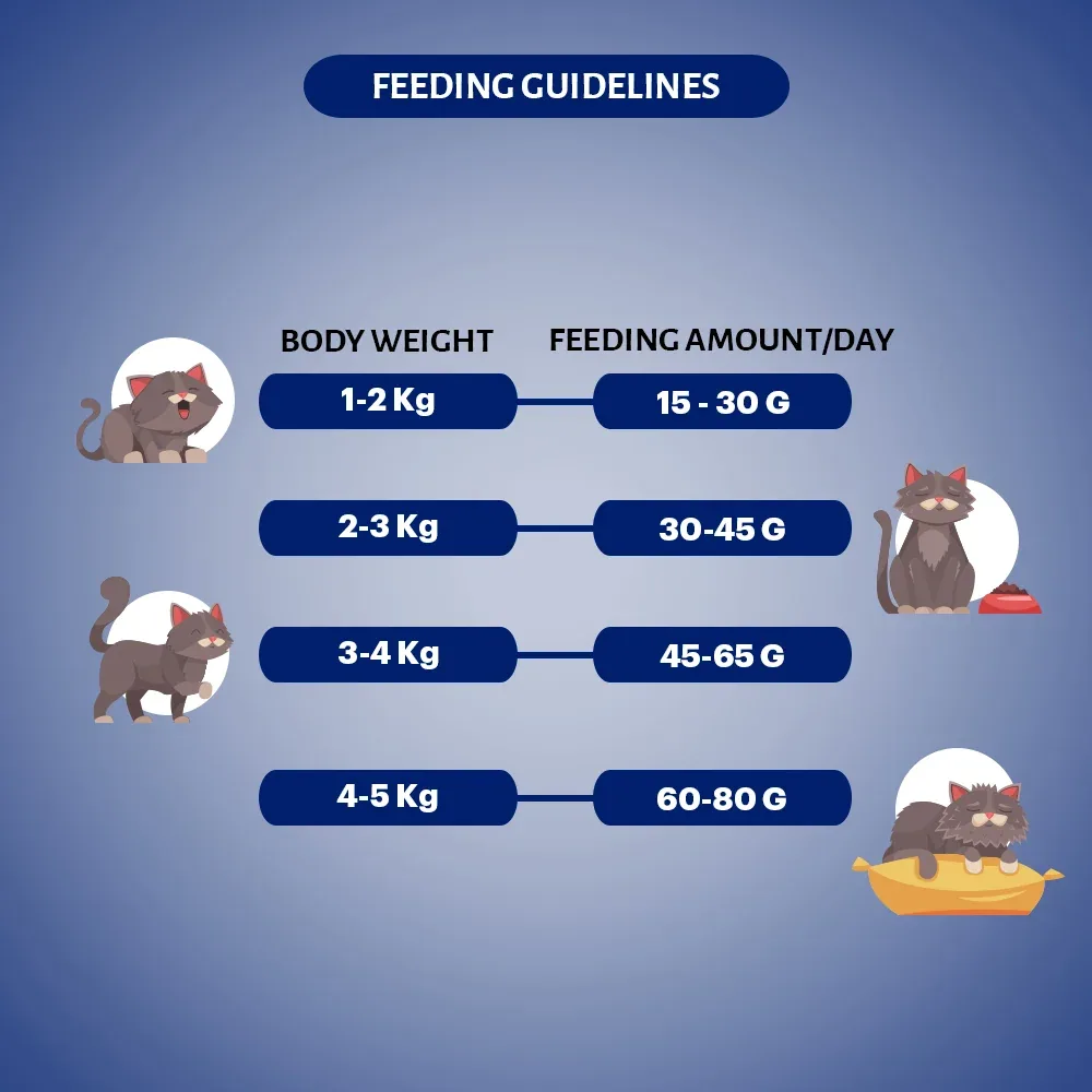 Signature Grain Zero Seafood Adult Cat Dry Food For All Breed - Image 2