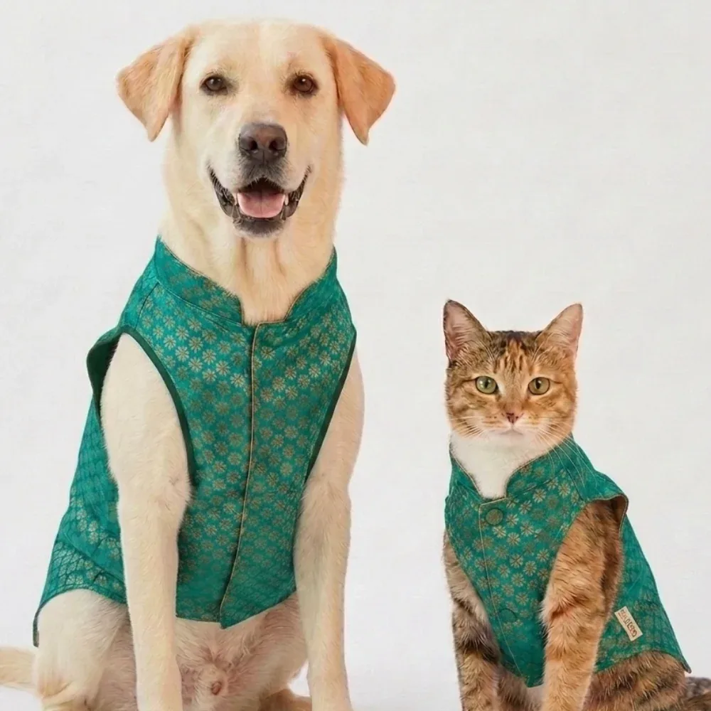 Skatrs Brocade Gold Printed Sherwani for Dogs and Cats (Teal)