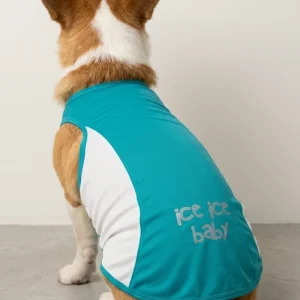 Skatrs Cooling Vest for Dogs (Blue)