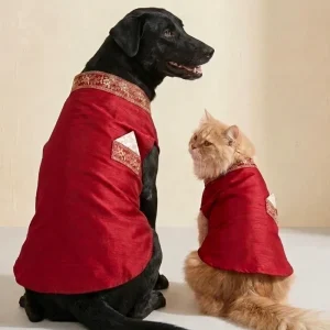Skatrs Ethnic Sherwani for Dogs and Cats (Maroon)