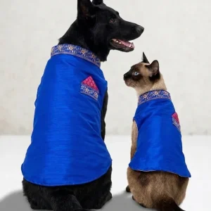 Skatrs Ethnic Sherwani for Dogs and Cats (Royal Blue)
