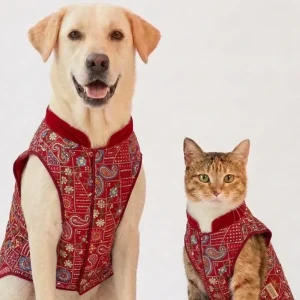 Skatrs Maharaja Handcrafted Sherwani for Dogs and Cats (Crimson Red)
