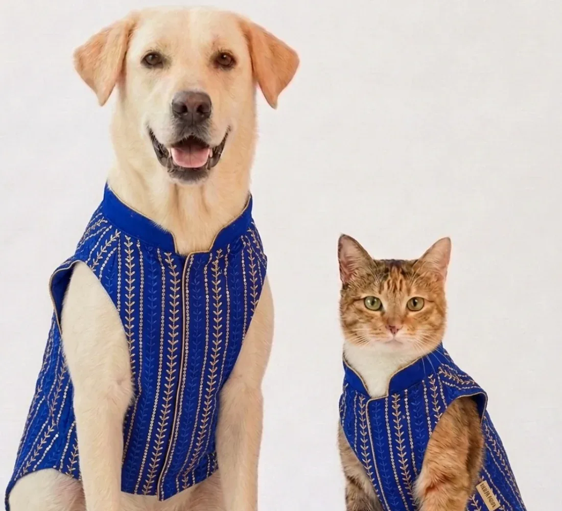 Skatrs Maharaja Handcrafted Sherwani for Dogs and Cats (Sapphire Blue)