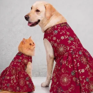 Skatrs Maharani Handcrafted Lehenga Dress for Dogs and Cats (Fuchsia)