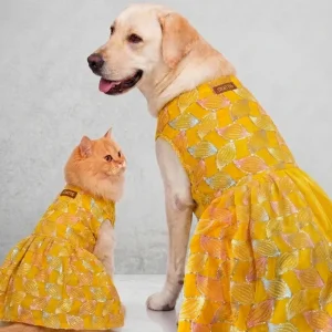 Skatrs Maharani Handcrafted Lehenga Dress for Dogs and Cats (Sunshine Gold)