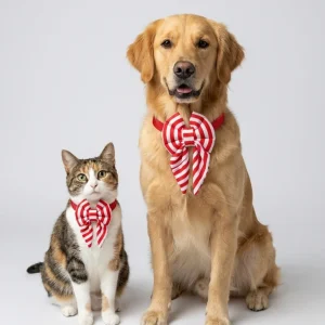 Skatrs Sailor bowtie for Dogs and Cats