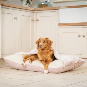 Sleepy Burrows Bed With Removable Cover In Blossom Velvet by Lords & Labradors