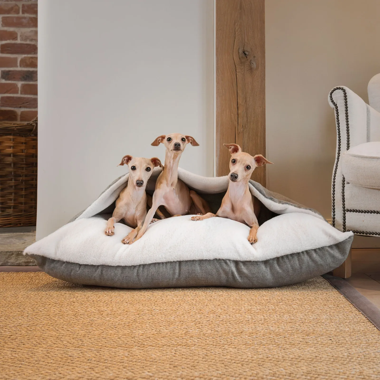 Sleepy Burrows Bed With Removable Cover In Inchmurrin Ground by Lords & Labradors