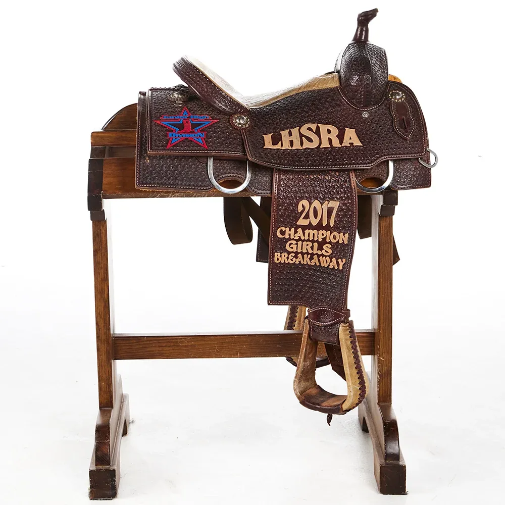 Slone Diamond S Saddles Used 14in Trophy All Around - Image 2