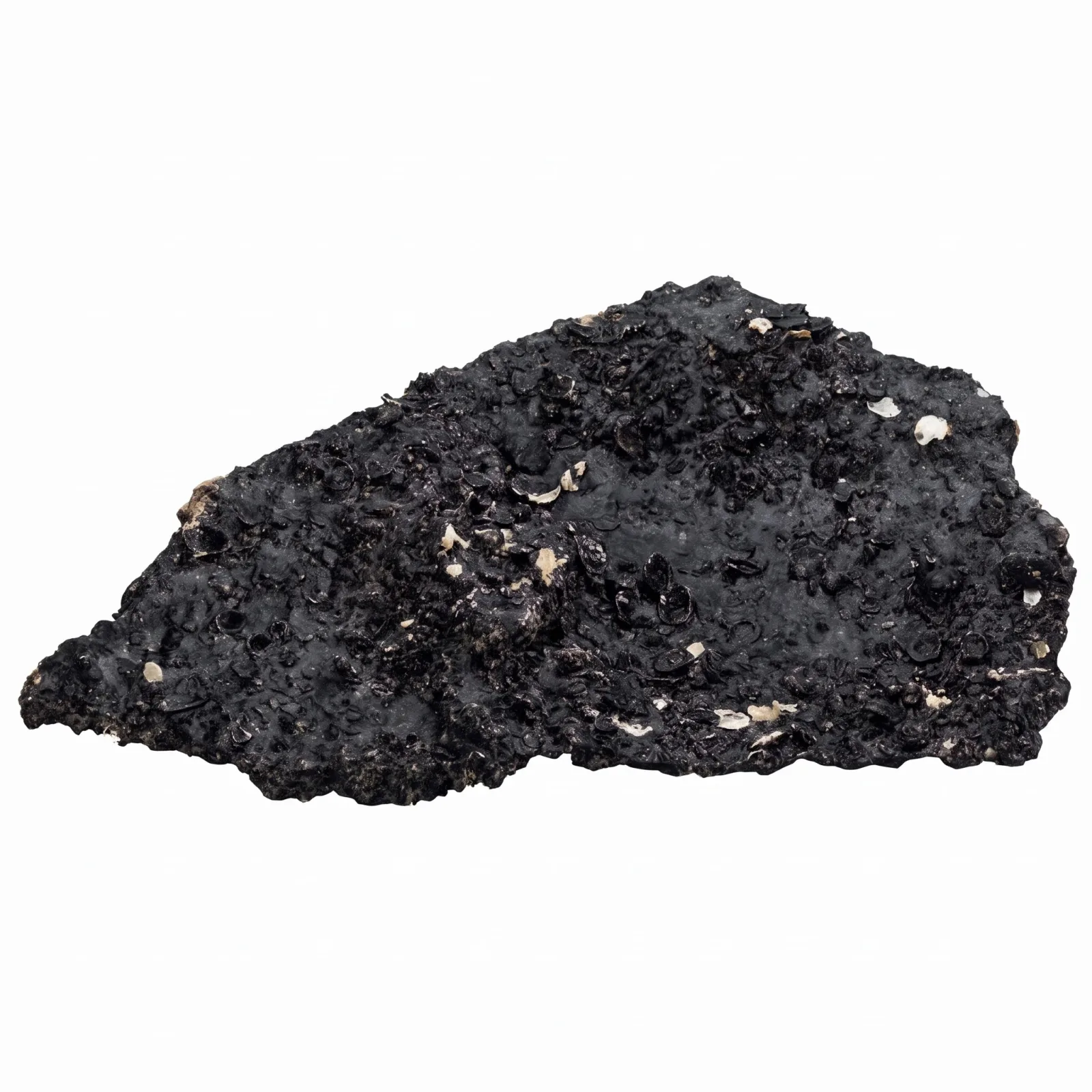 (SMALL) Mini MIDNIGHT BLACK Real Reef Shelf Rock (1 Piece) - Real Reef