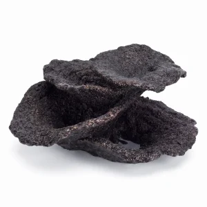(SMALL) Mini Real Reef Turbinaria Cup MIDNIGHT BLACK Plate Coral Rock (1 piece) - Real Reef